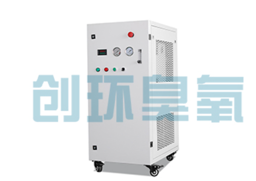 莲池石斑鱼养殖水质调控完整指南:臭氧发生器配置与操作步骤