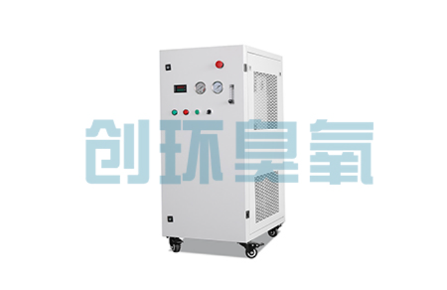 莲池比传统换水更高效?臭氧发生器在石斑鱼养殖中的水质净化原理解析